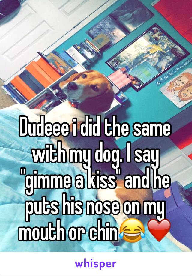 Dudeee i did the same with my dog. I say "gimme a kiss" and he puts his nose on my mouth or chin😂❤️