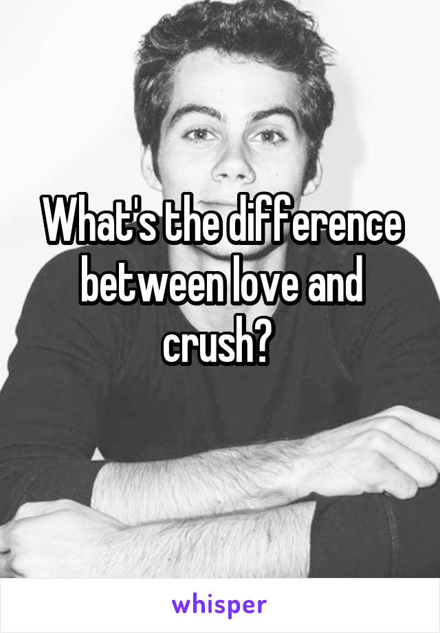 what-s-the-difference-between-love-and-crush