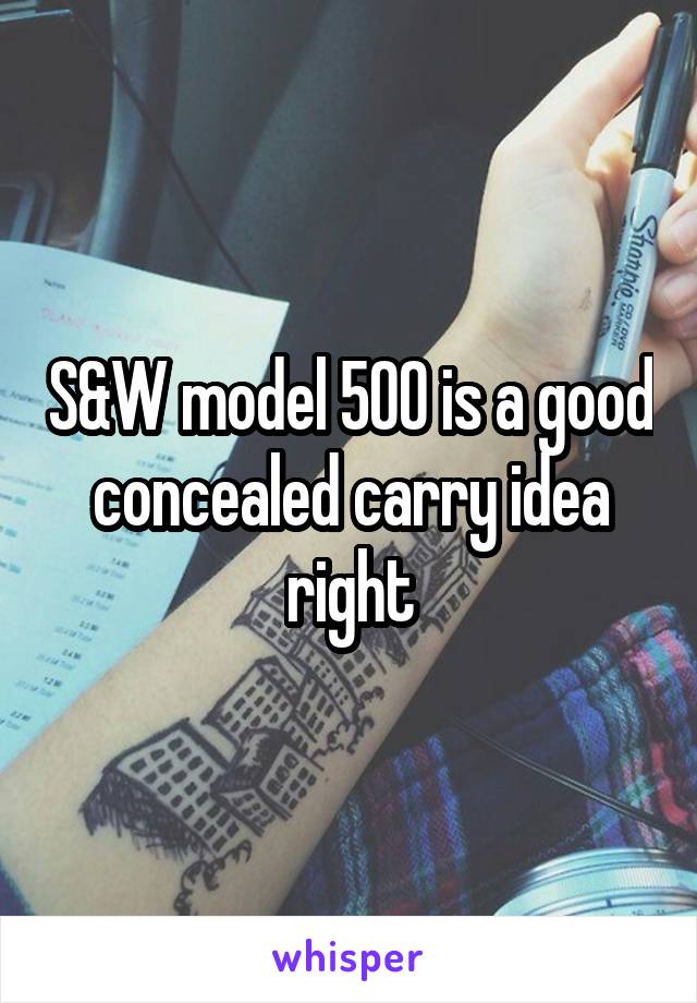 S&W model 500 is a good concealed carry idea right