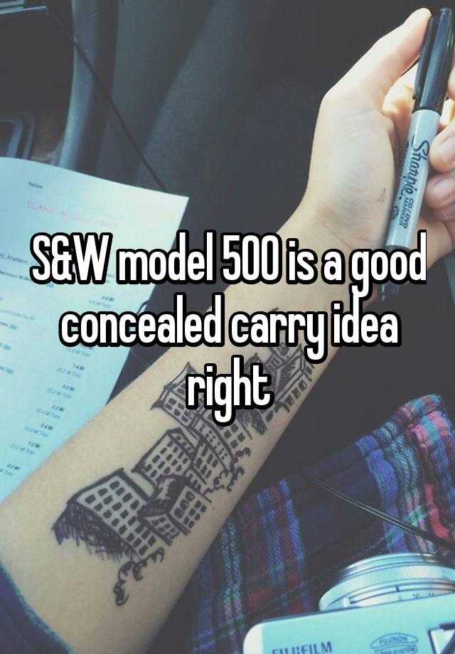 S&W model 500 is a good concealed carry idea right