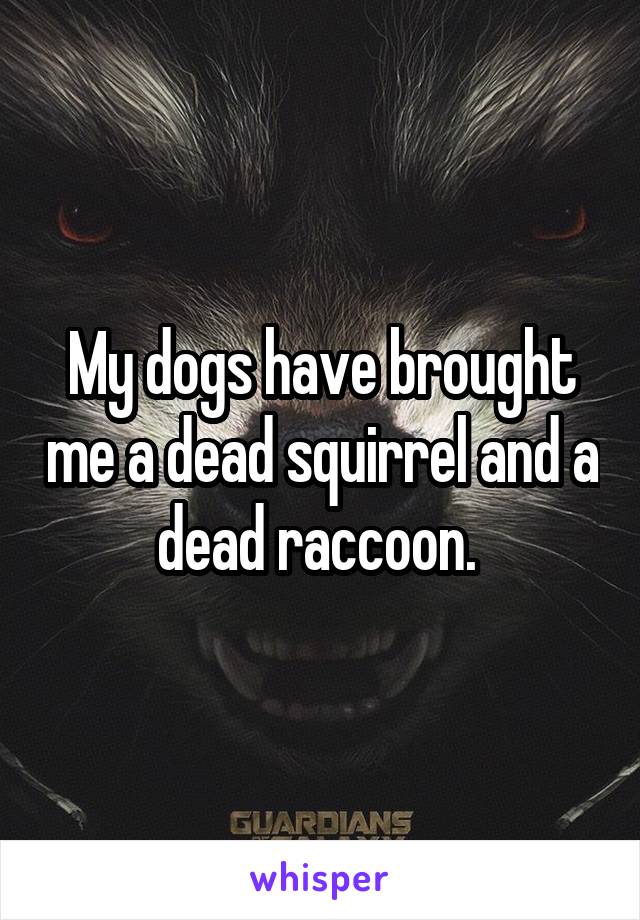 My dogs have brought me a dead squirrel and a dead raccoon. 