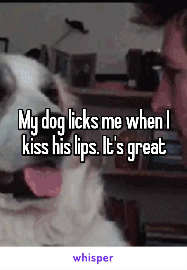 My dog licks me when I kiss his lips. It's great