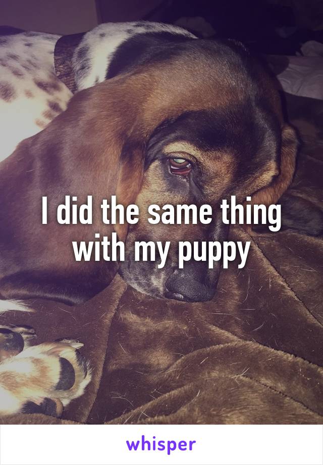 I did the same thing with my puppy