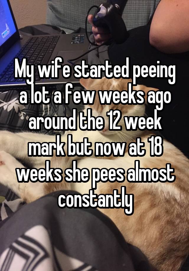 my-wife-started-peeing-a-lot-a-few-weeks-ago-around-the-12-week-mark