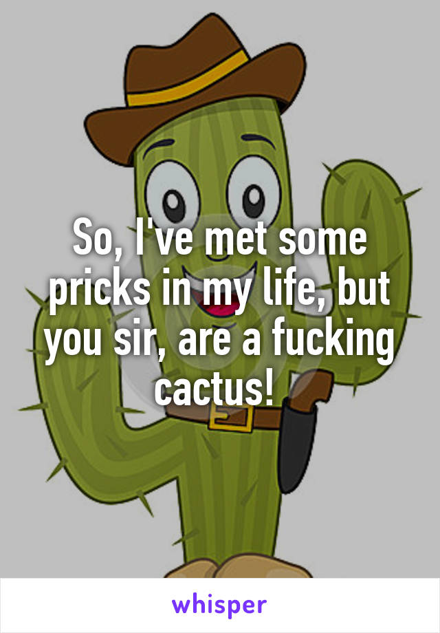 So, I've met some pricks in my life, but you sir, are a fucking cactus! 