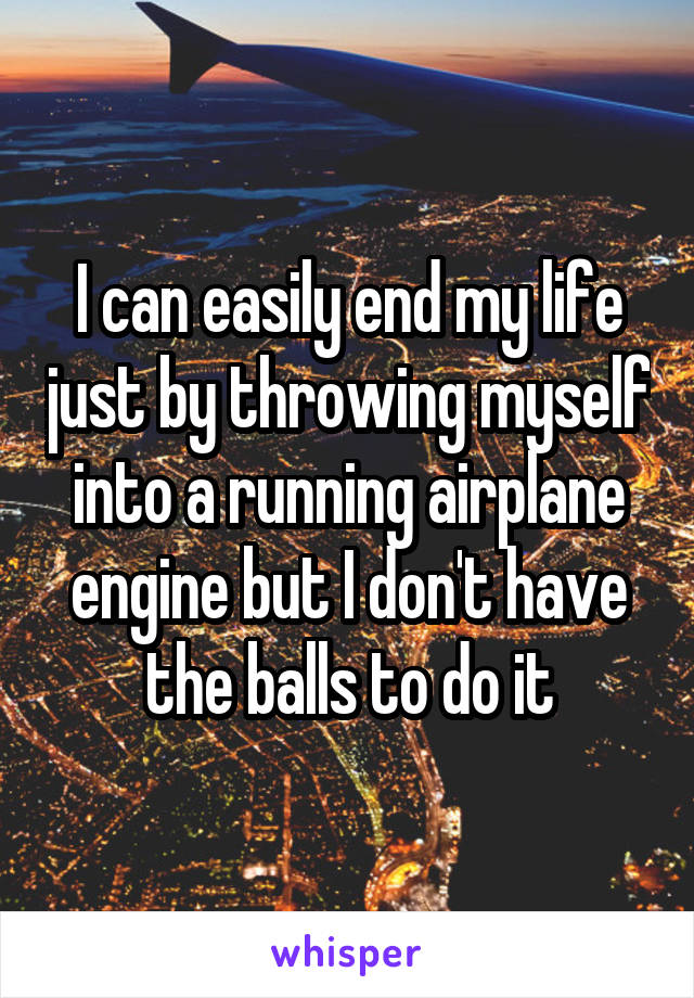 I can easily end my life just by throwing myself into a running airplane engine but I don't have the balls to do it