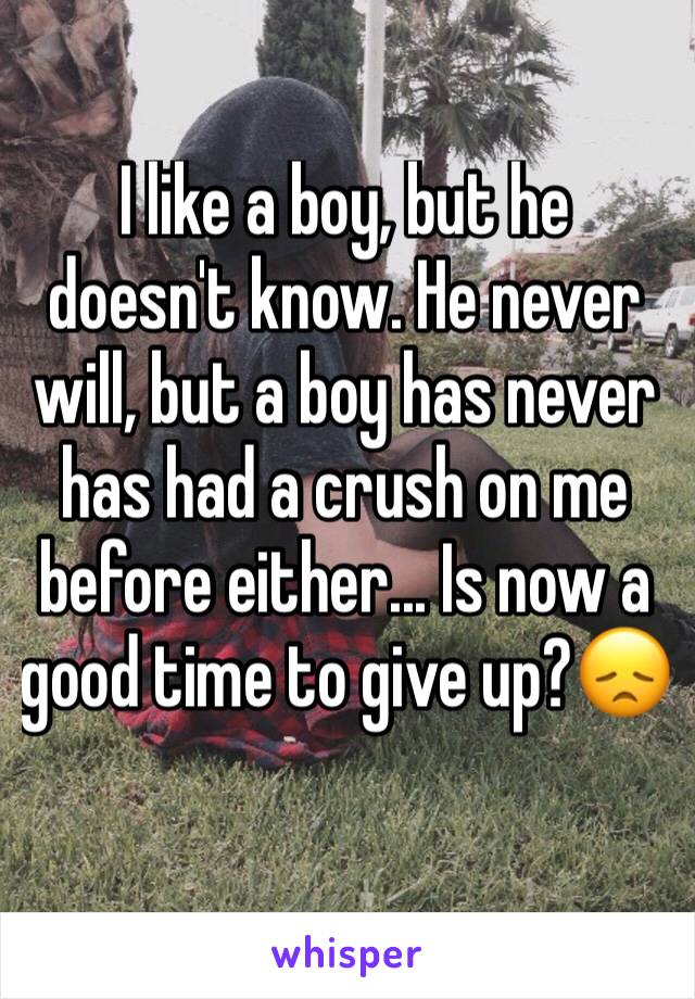 I like a boy, but he doesn't know. He never will, but a boy has never has had a crush on me before either... Is now a good time to give up?😞
