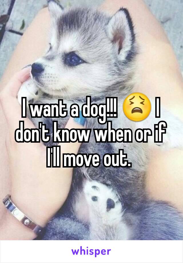 I want a dog!!! 😫 I don't know when or if I'll move out. 