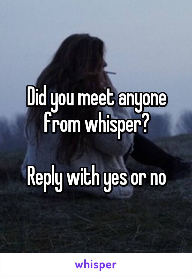 Did you meet anyone from whisper?

Reply with yes or no