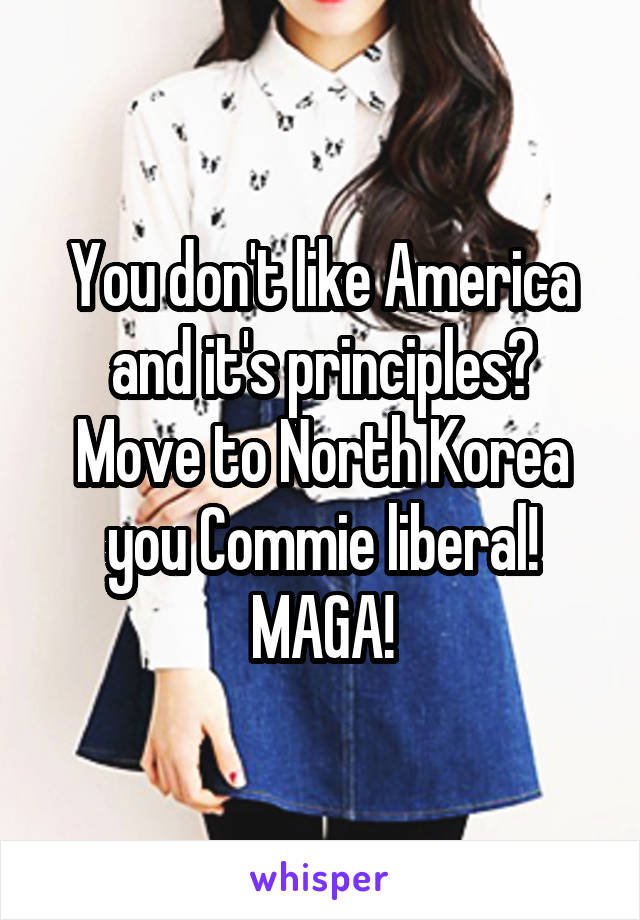 You don't like America and it's principles? Move to North Korea you Commie liberal! MAGA!