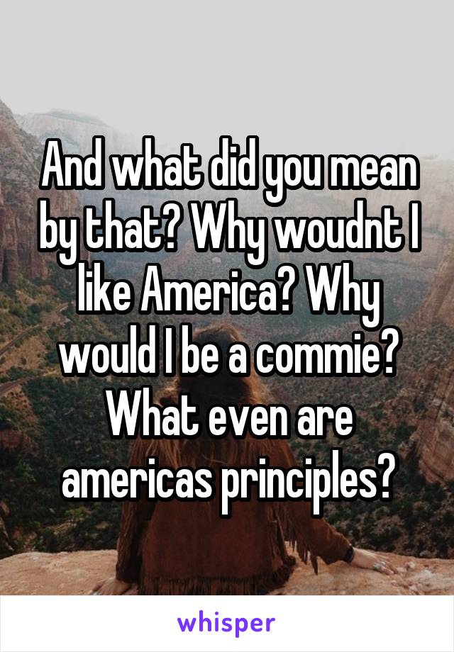 And what did you mean by that? Why woudnt I like America? Why would I be a commie? What even are americas principles?