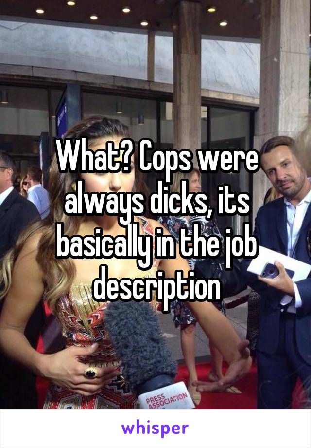 What? Cops were always dicks, its basically in the job description