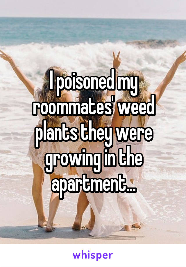 I poisoned my roommates' weed plants they were growing in the apartment...
