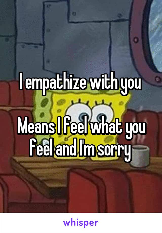 I empathize with you 

Means I feel what you feel and I'm sorry 