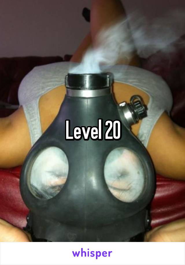 Level 20