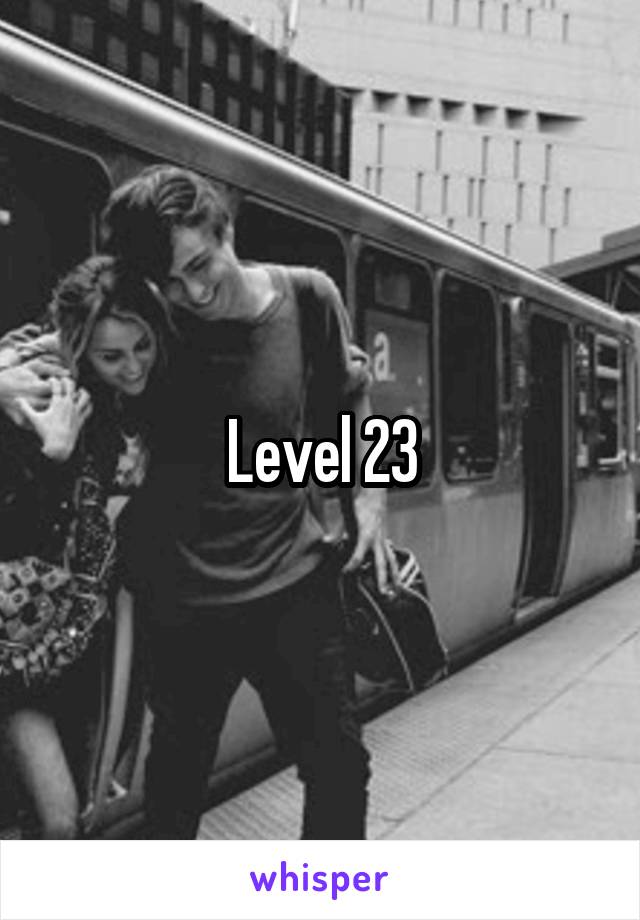 Level 23