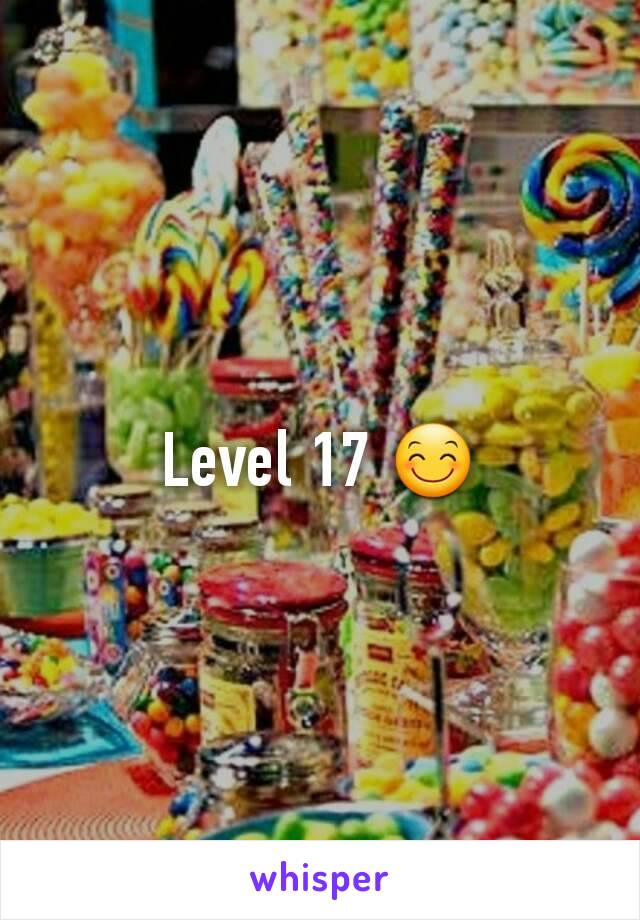 Level 17 😊