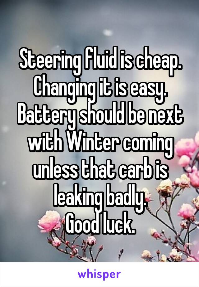 Steering fluid is cheap. Changing it is easy.
Battery should be next with Winter coming unless that carb is leaking badly.
Good luck.