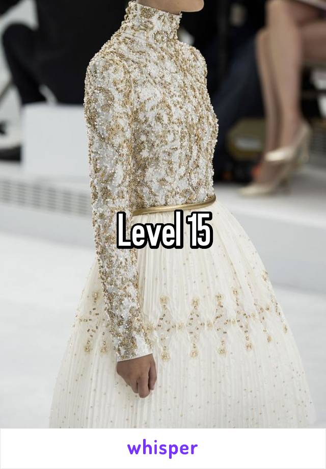 Level 15