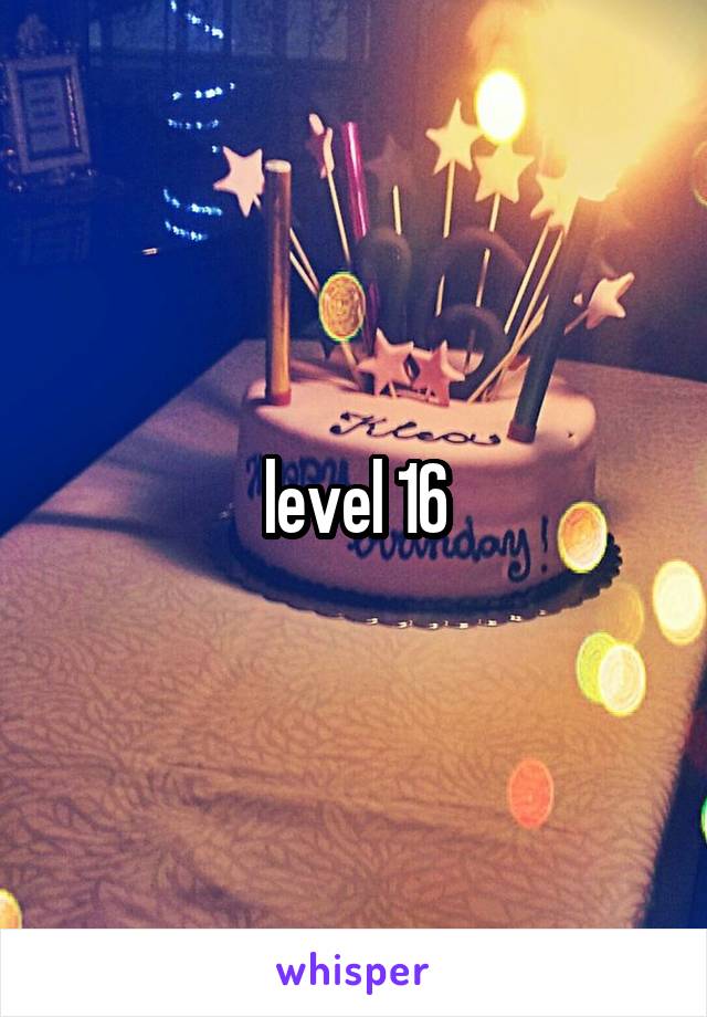 level 16