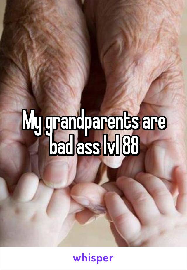 My grandparents are bad ass lvl 88