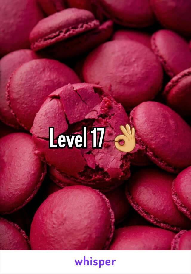 Level 17 👌