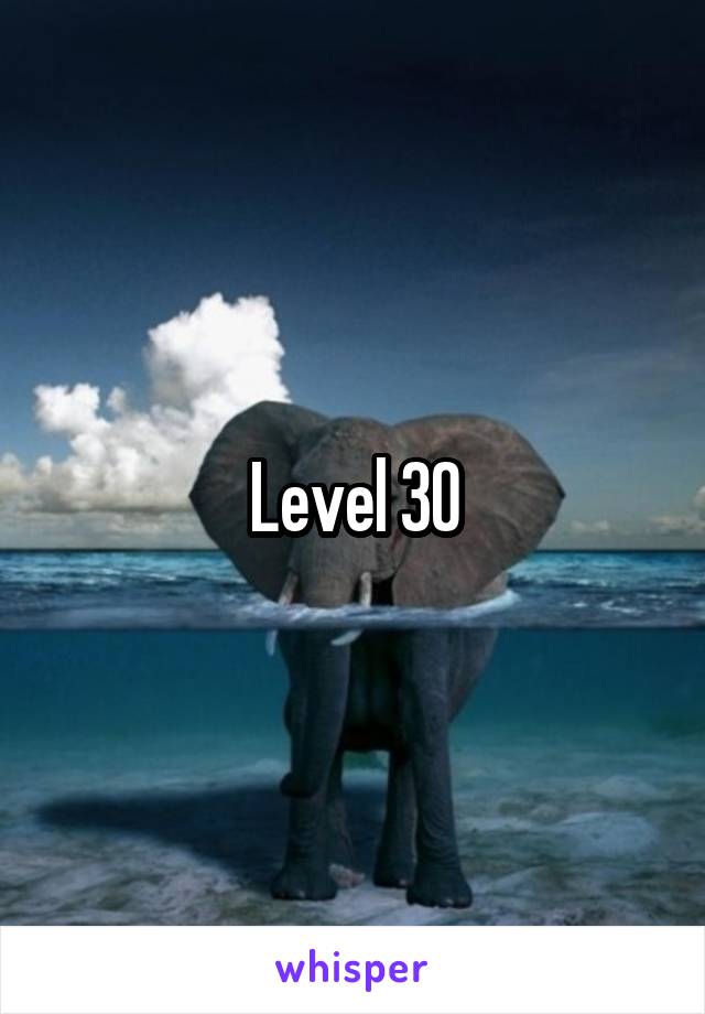 Level 30