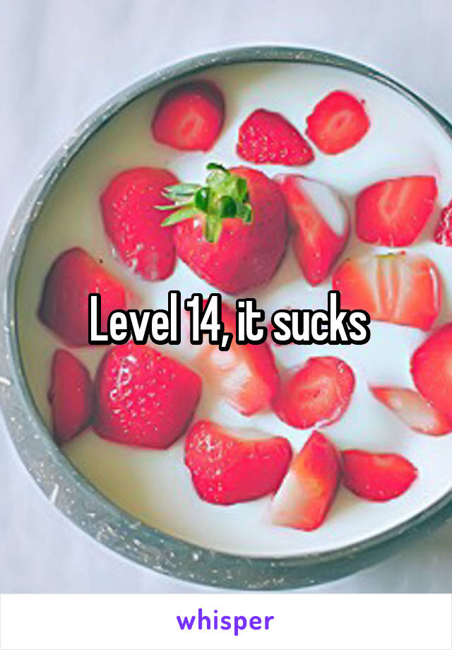 Level 14, it sucks