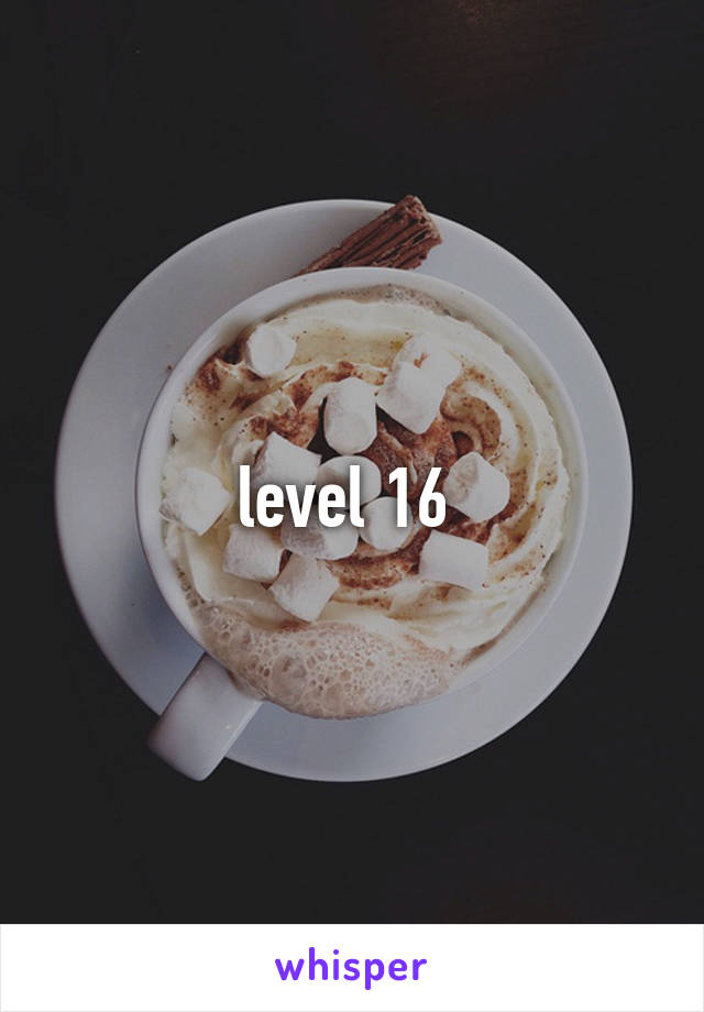 level 16 