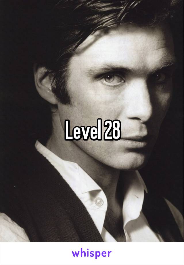 Level 28