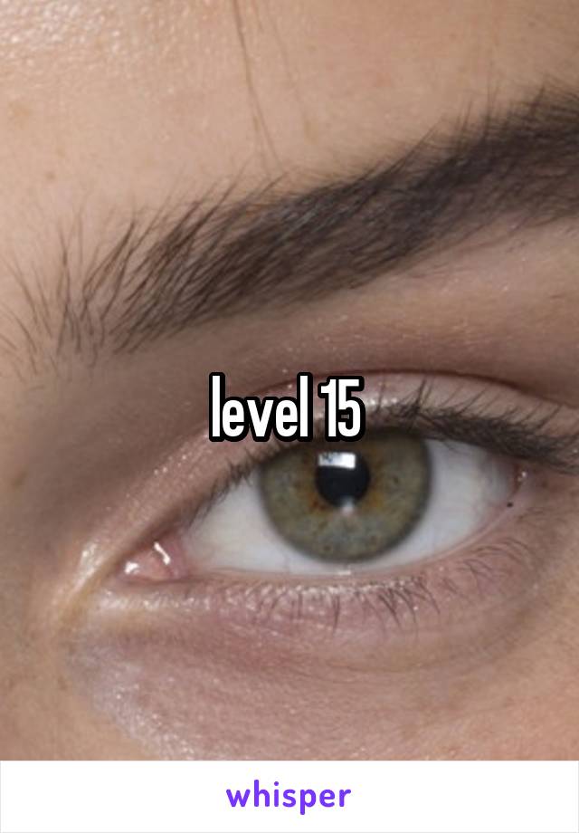 level 15 