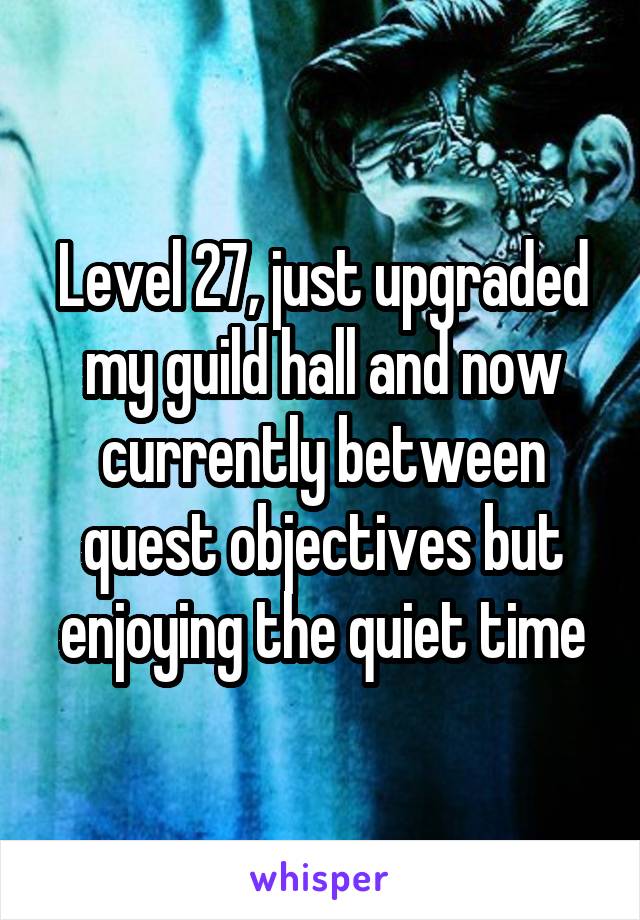 Level 27, just upgraded my guild hall and now currently between quest objectives but enjoying the quiet time