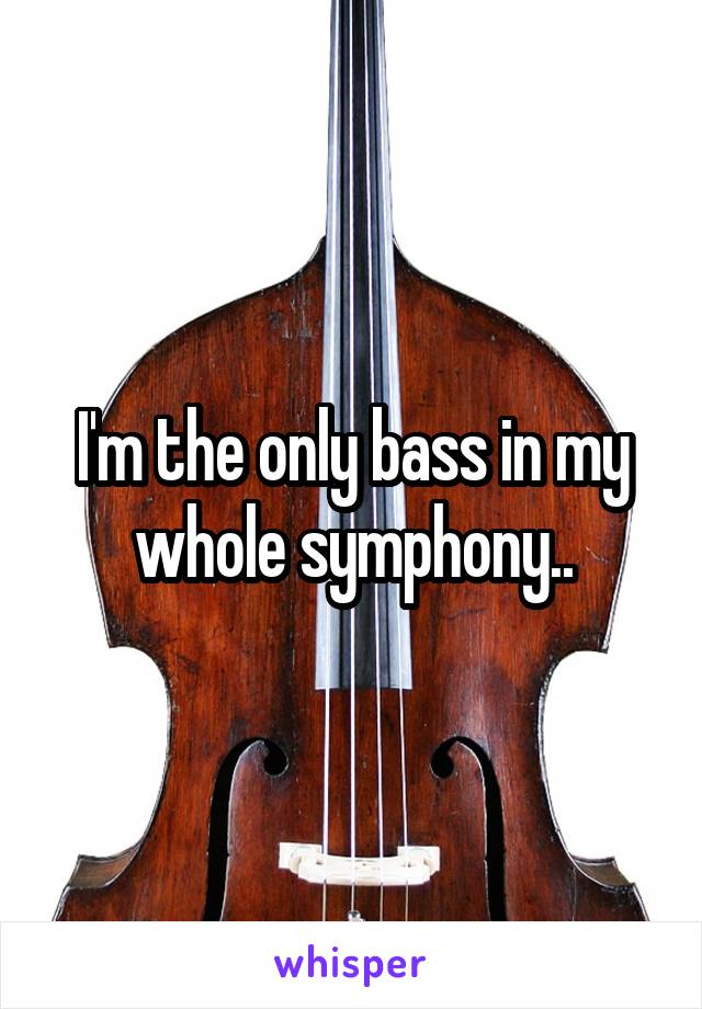 I'm the only bass in my whole symphony..