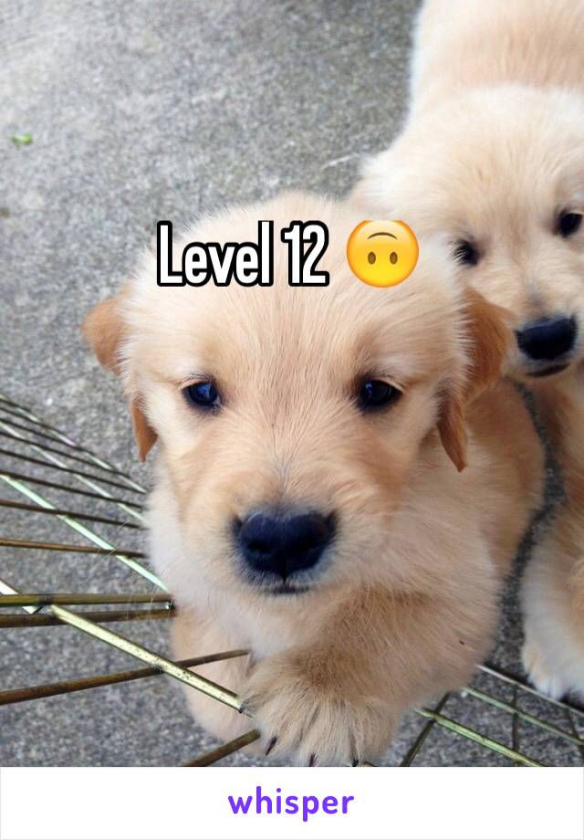 Level 12 🙃
