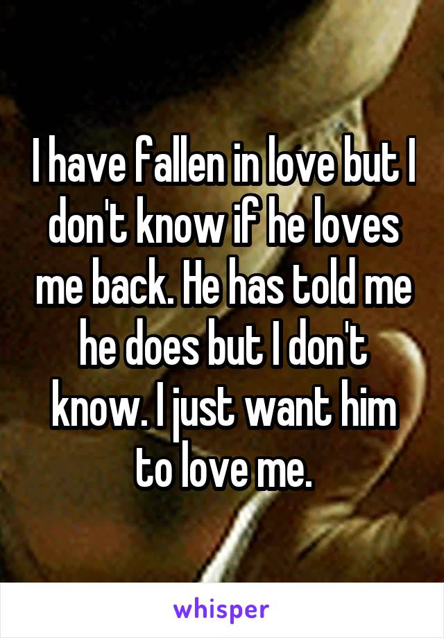 I have fallen in love but I don't know if he loves me back. He has told me he does but I don't know. I just want him to love me.