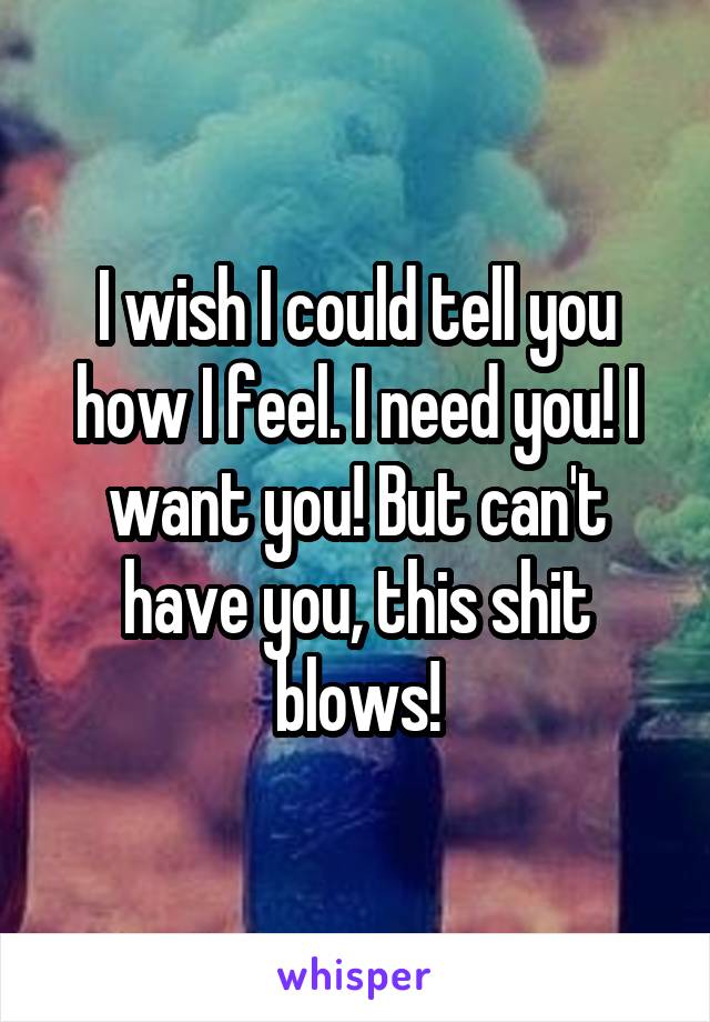 I wish I could tell you how I feel. I need you! I want you! But can't have you, this shit blows!