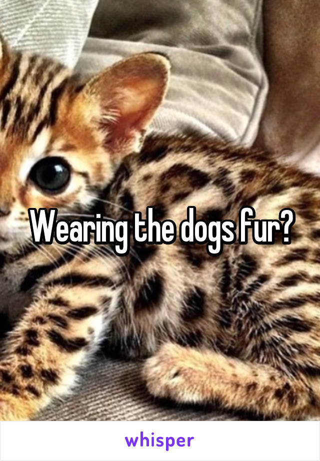 Wearing the dogs fur?