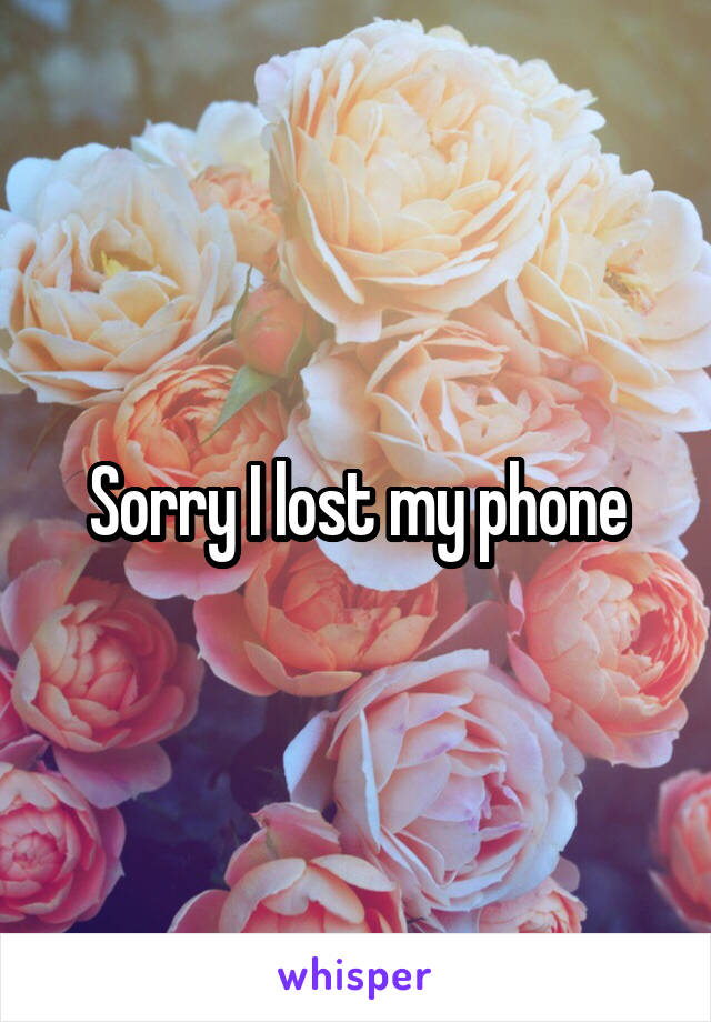 Sorry I lost my phone