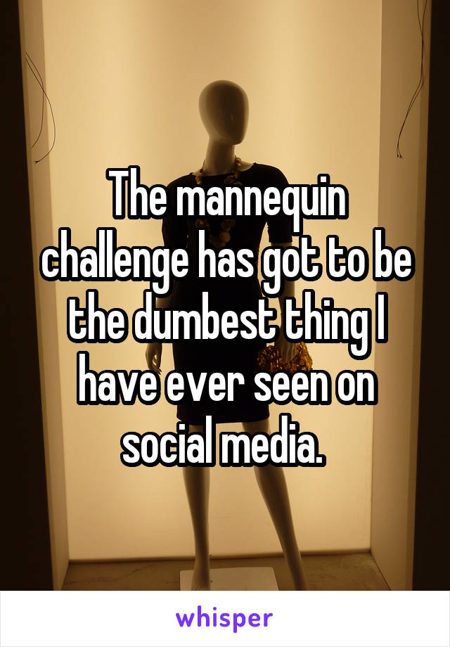The mannequin challenge has got to be the dumbest thing I have ever seen on social media. 