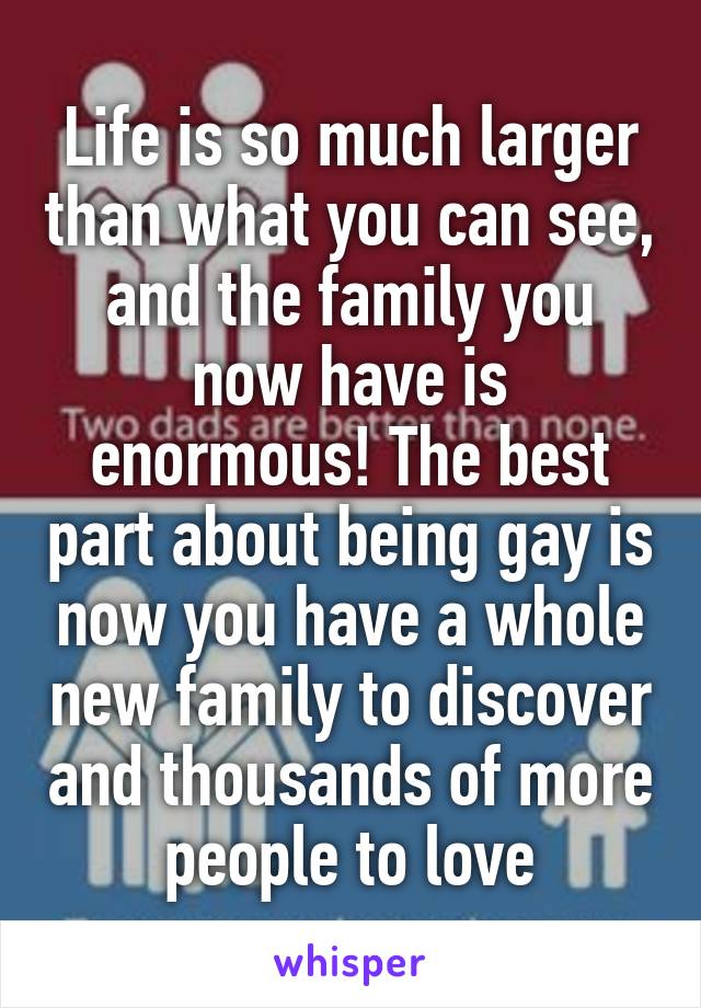 Life is so much larger than what you can see, and the family you now have is enormous! The best part about being gay is now you have a whole new family to discover and thousands of more people to love