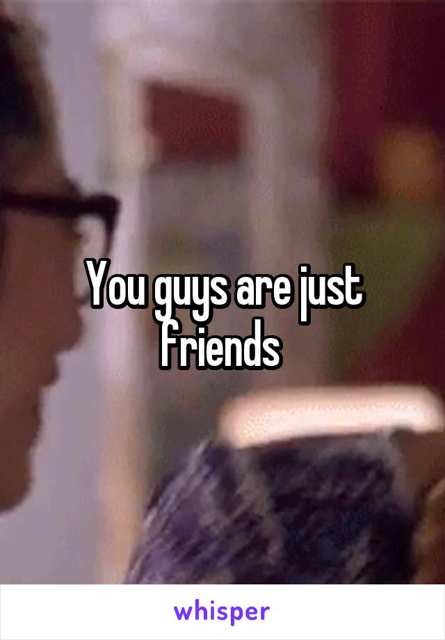 You guys are just friends 