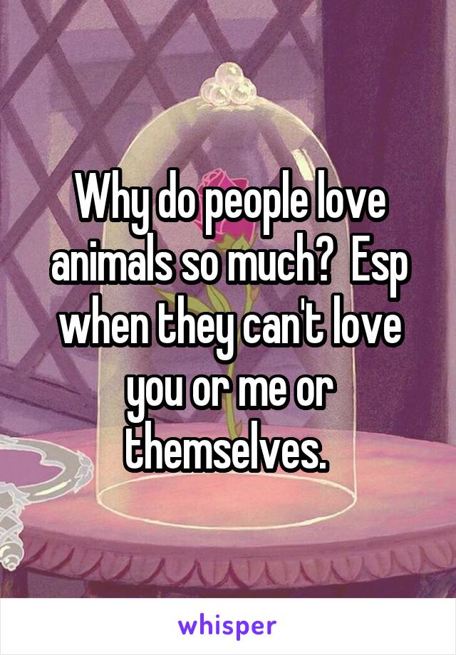 Why do people love animals so much?  Esp when they can't love you or me or themselves. 