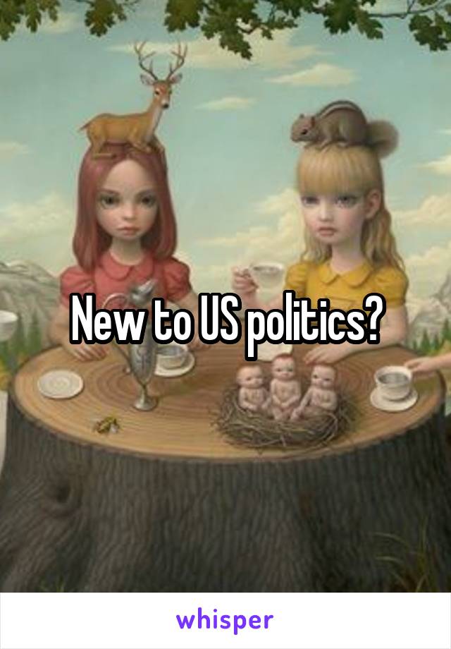 New to US politics?