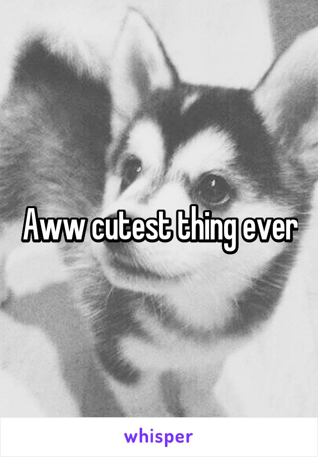 Aww cutest thing ever