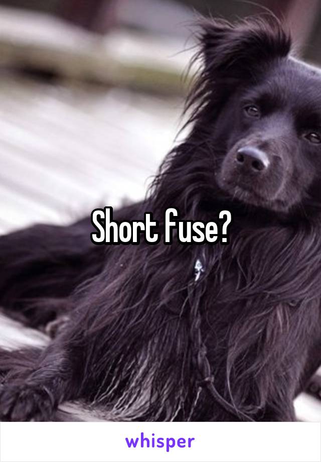 Short fuse?