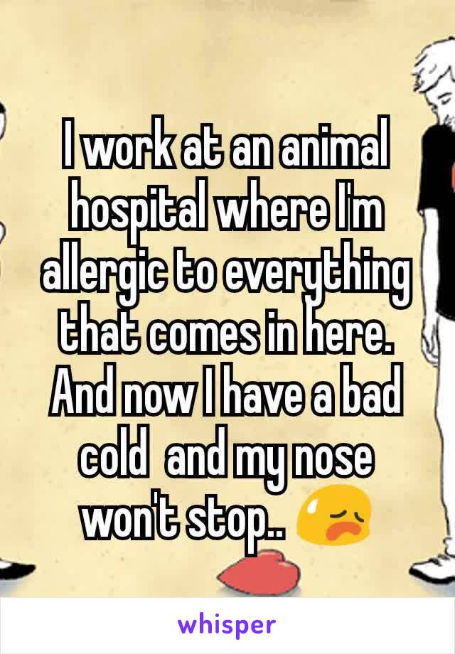 I work at an animal hospital where I'm allergic to everything that comes in here. And now I have a bad cold  and my nose won't stop.. 😥