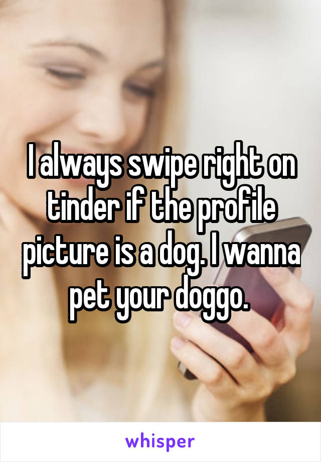 I always swipe right on tinder if the profile picture is a dog. I wanna pet your doggo. 