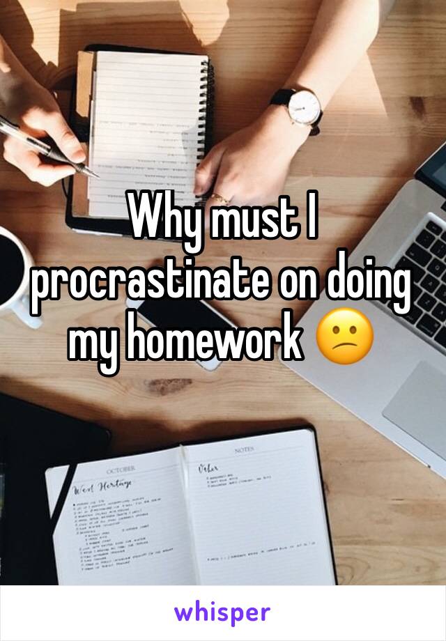 Why must I procrastinate on doing my homework 😕