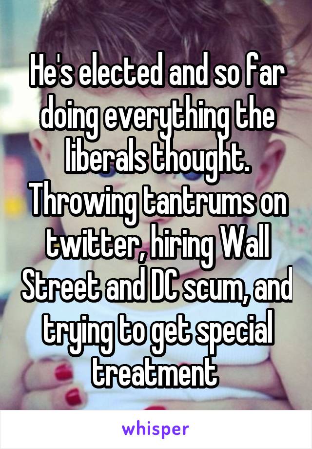 He's elected and so far doing everything the liberals thought. Throwing tantrums on twitter, hiring Wall Street and DC scum, and trying to get special treatment 