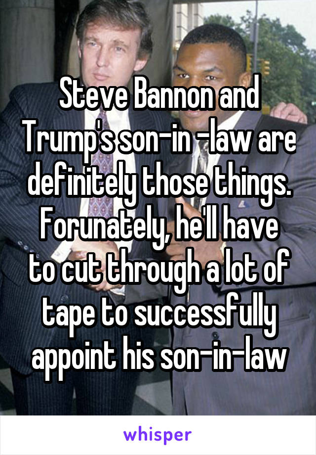 Steve Bannon and Trump's son-in -law are definitely those things.
Forunately, he'll have to cut through a lot of tape to successfully appoint his son-in-law